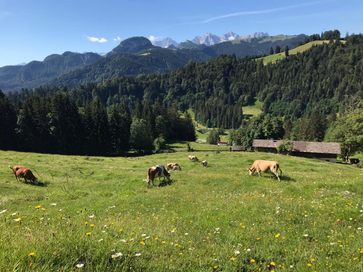 Biobauernhof Schneiderbauer Unken Exterior foto