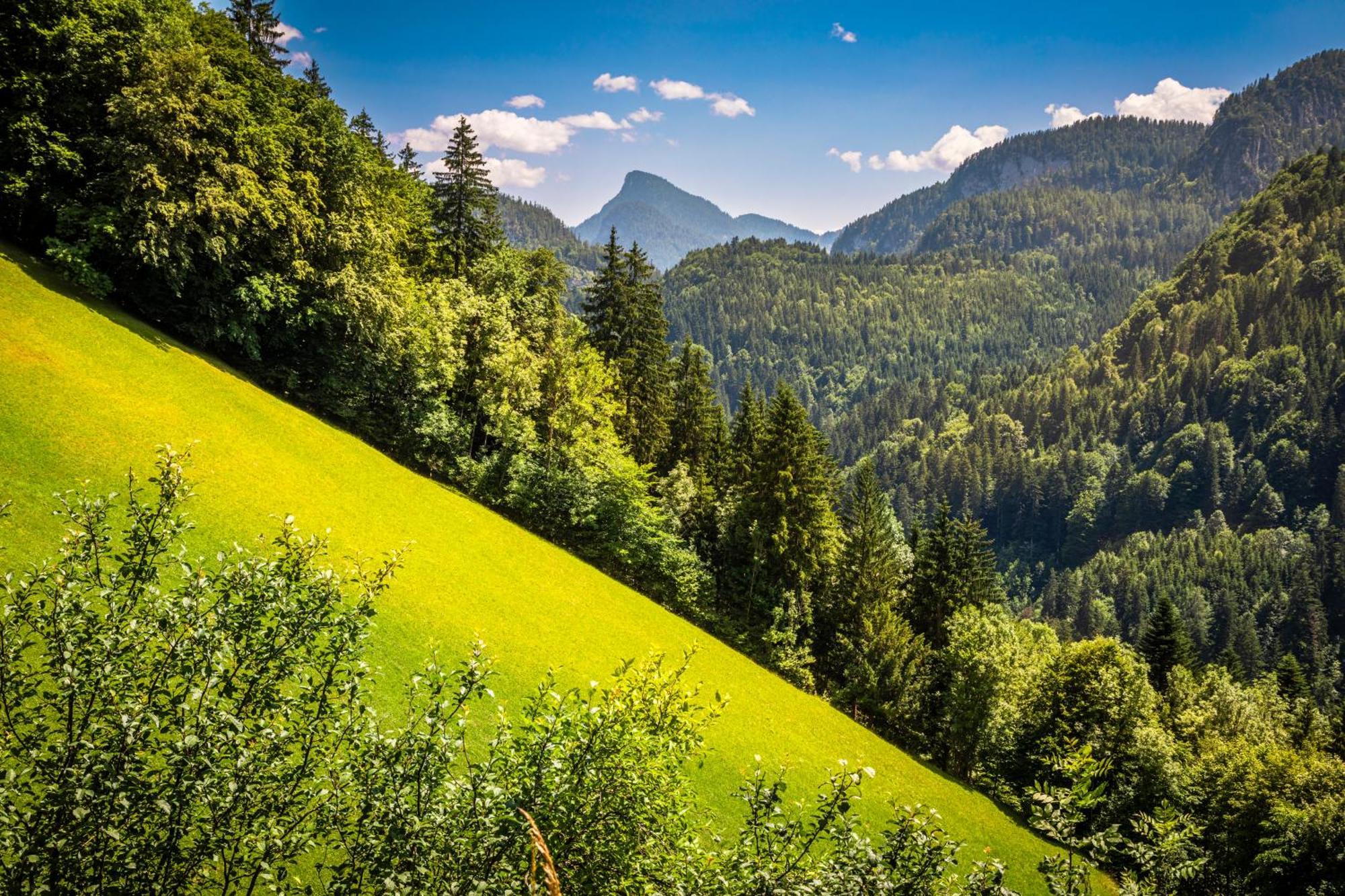 Biobauernhof Schneiderbauer Unken Exterior foto